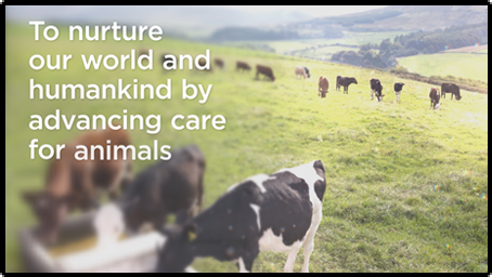 �I�[�v�j���O�f���L���v�`��