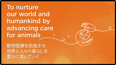 �I�[�v�j���O�f���L���v�`��